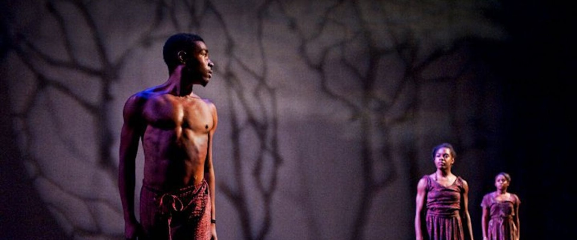 Does the Arizona Dance Coalition Offer Discounts on Videography Services?
