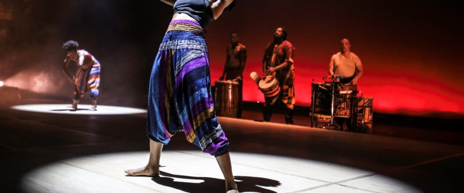 Uniting Dance Organizations and Individuals: The Virginia Dance Coalition