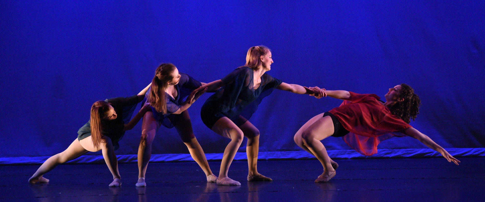 Gain Valuable Experience in the Performing Arts with Internships and Apprenticeships at the Dance Coalition in Northern VA