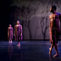 Does the Arizona Dance Coalition Offer Discounts on Videography Services?