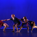 The Virginia Dance Coalition: Mentorship Programs for its Members