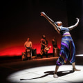 Uniting Dance Organizations and Individuals: The Virginia Dance Coalition