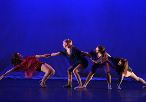 The Virginia Dance Coalition: Mentorship Programs for its Members